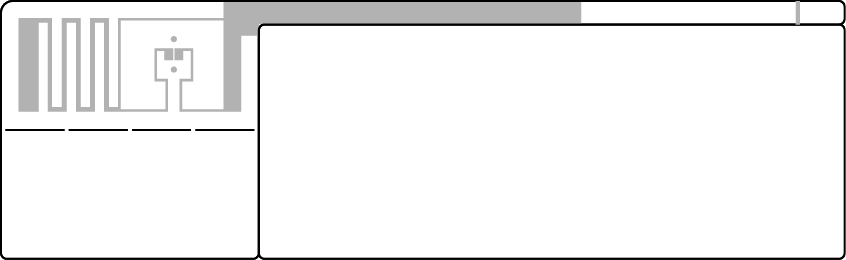 72x22mm RFID Takı Etiketi
